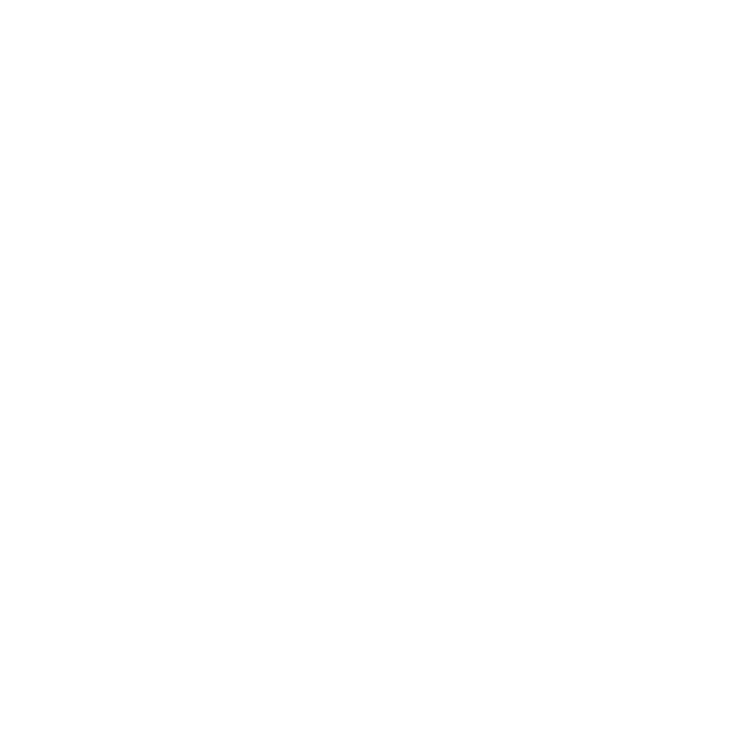 Malik Group